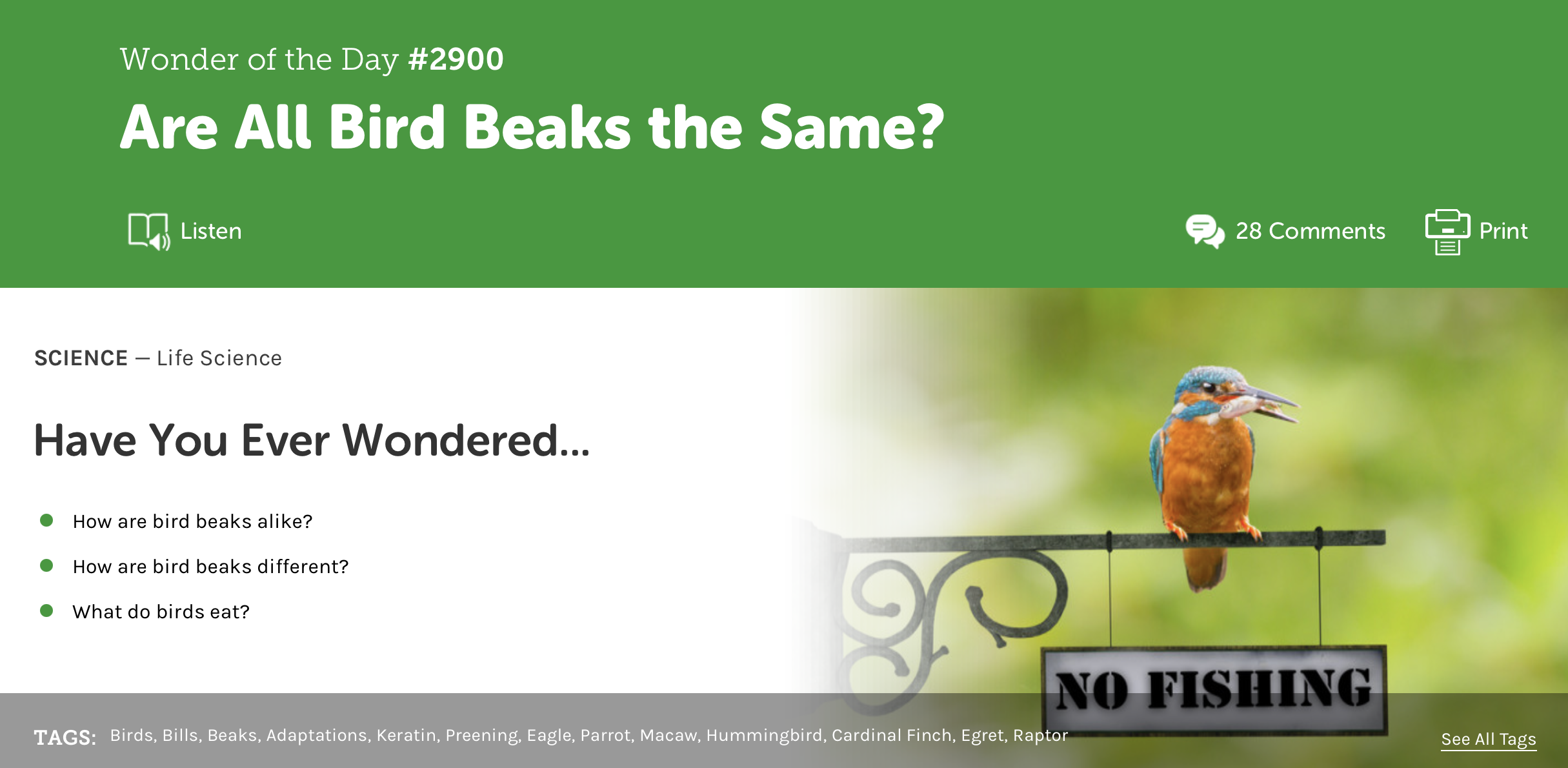 Text Set Links, p.55-56 | Are All Bird Beaks the Same?