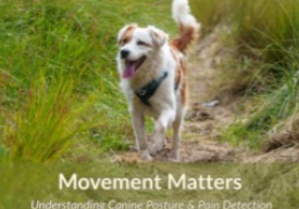 Movement Matters CPD course for dog trainers and behaviourists