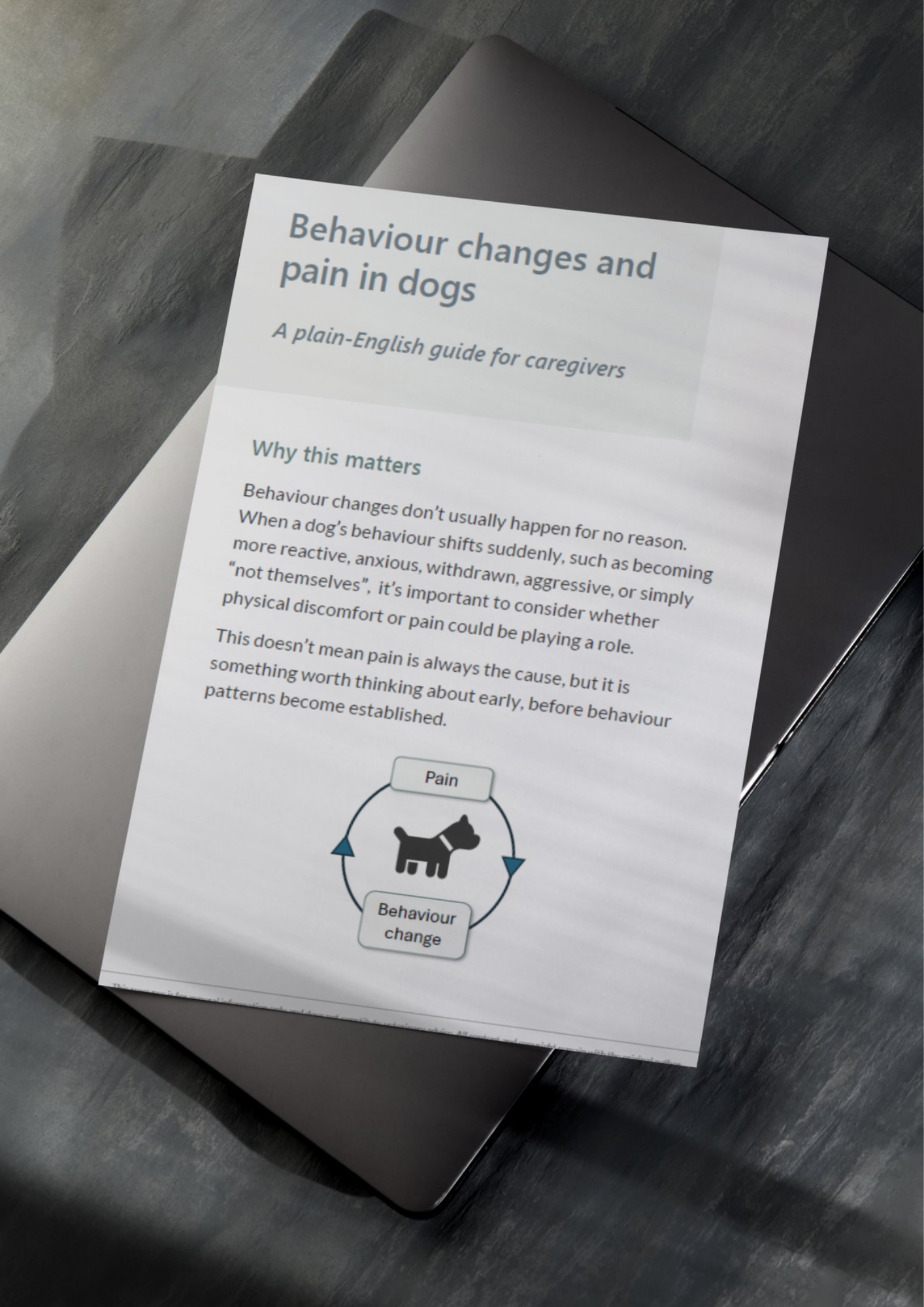 Behaviour Changes and Pain in Dogs