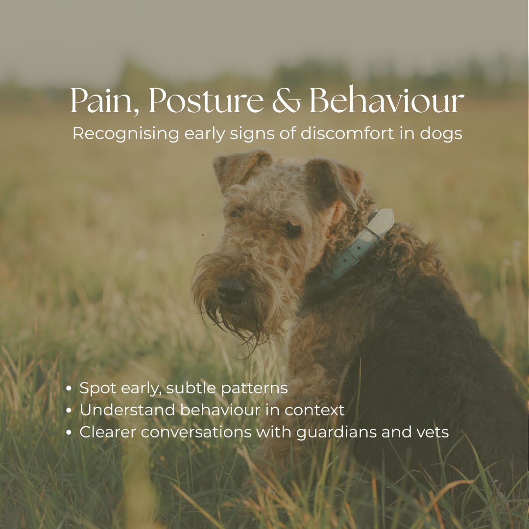 Pain, Posture & Behaviour short course cover, Shaping Dogs