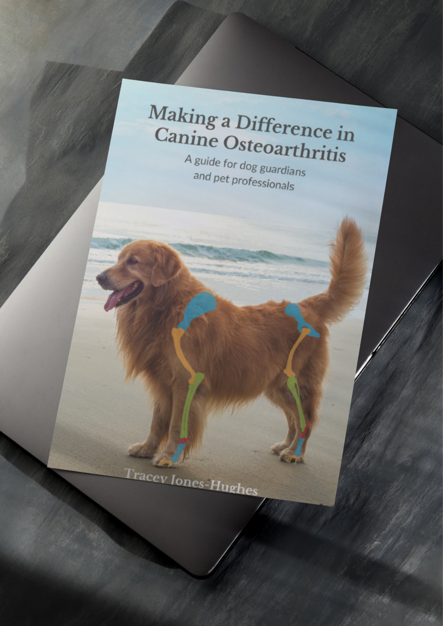 Canine Osteoarthritis Comfort Guide (Digital Book)