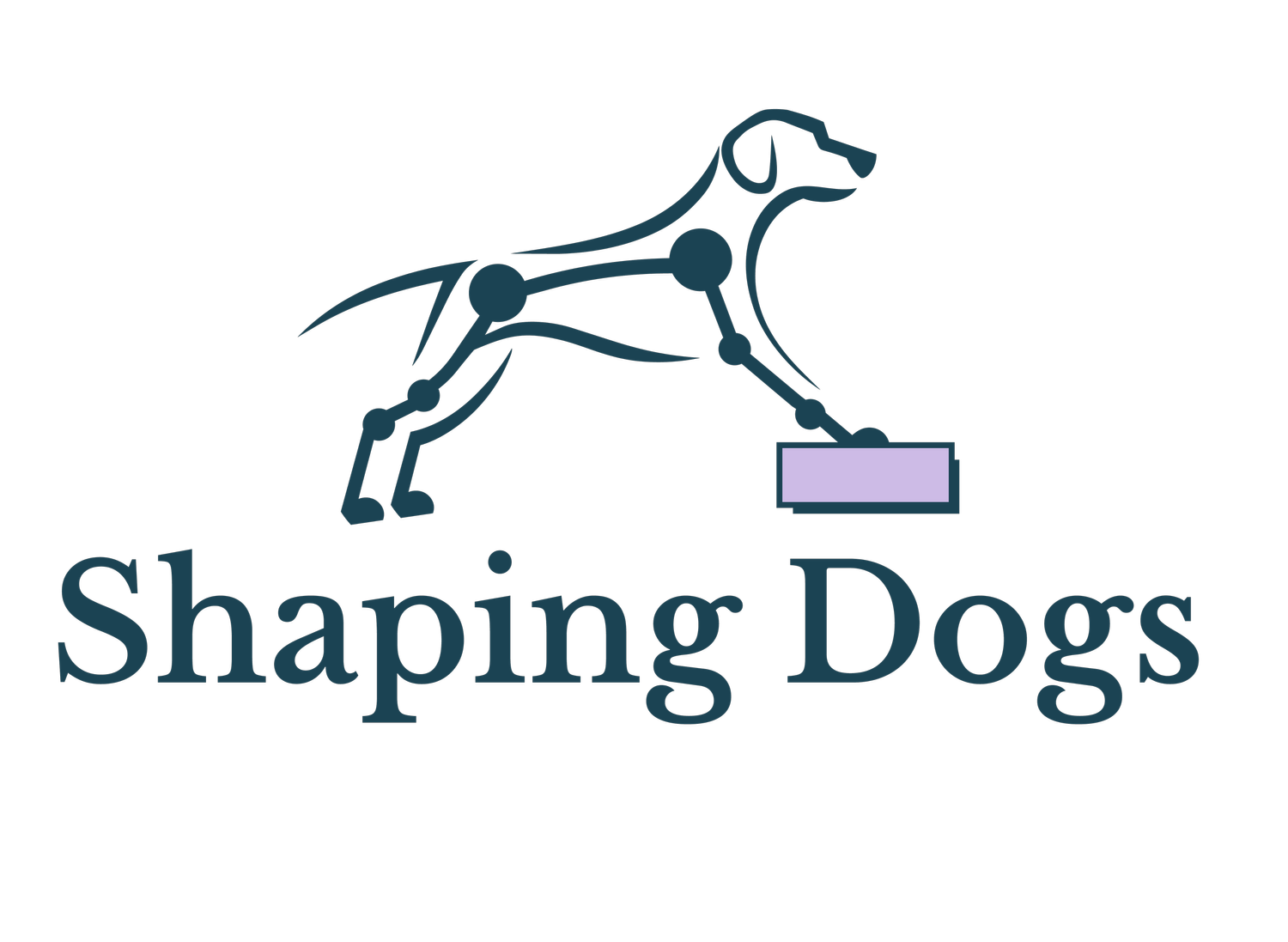 Shaping Dogs