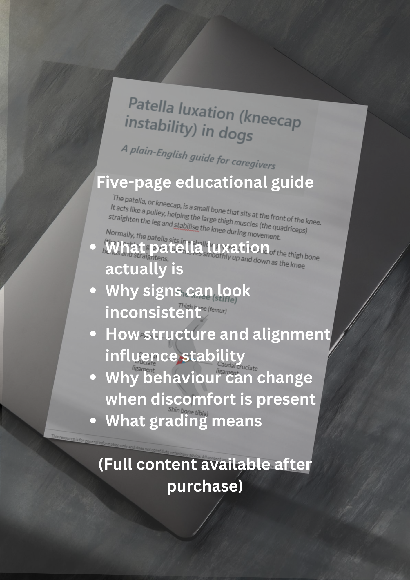 One-page educational guide (Full content available after purchase) (10).png