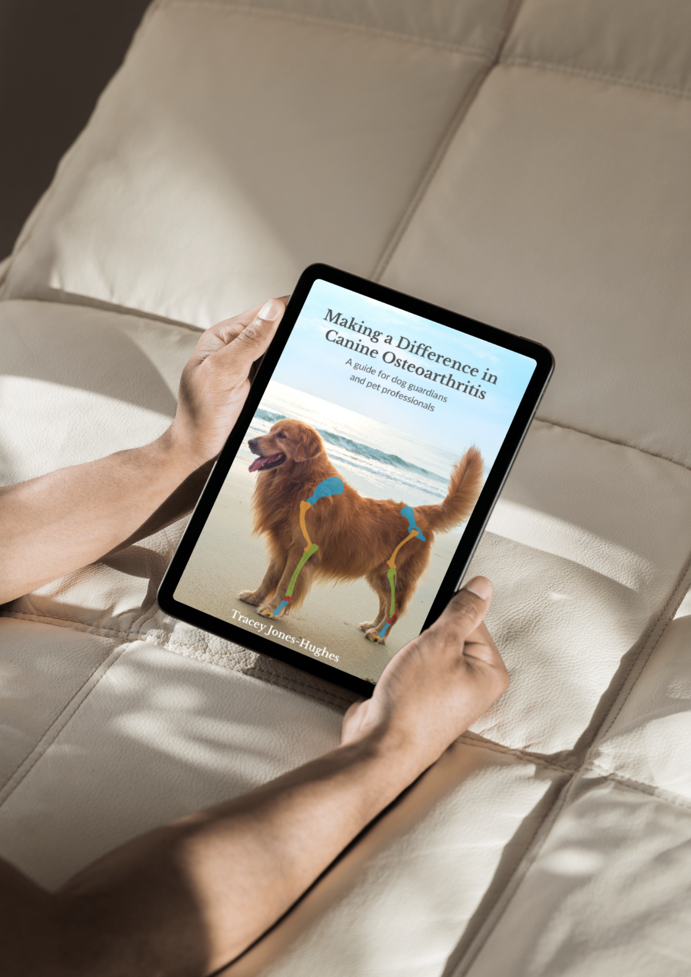 Canine Osteoarthritis Comfort Guide (Digital Book)
