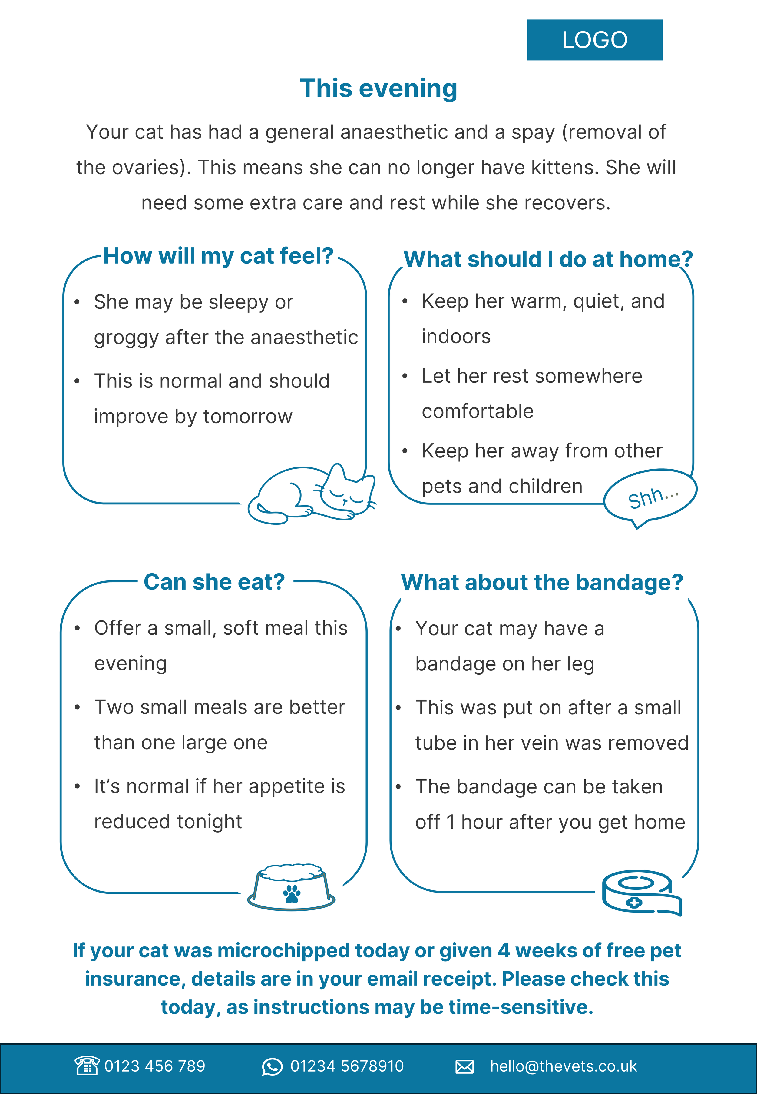 Example cat spay aftercare leaflet with clear headings, practical instructions and illustrations covering rest, feeding and bandage care