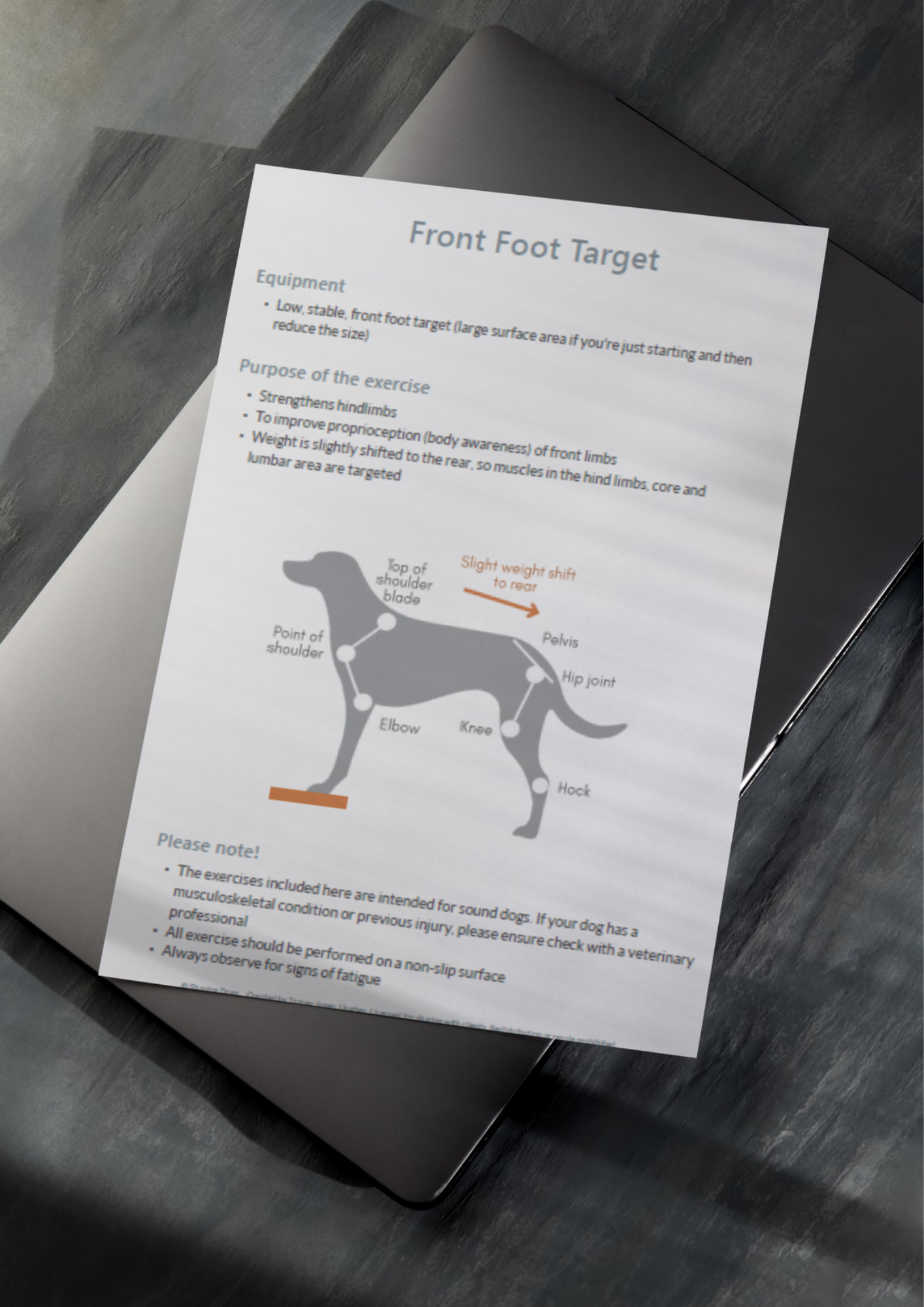 One-page educational guide (Full content available after purchase) (11).png