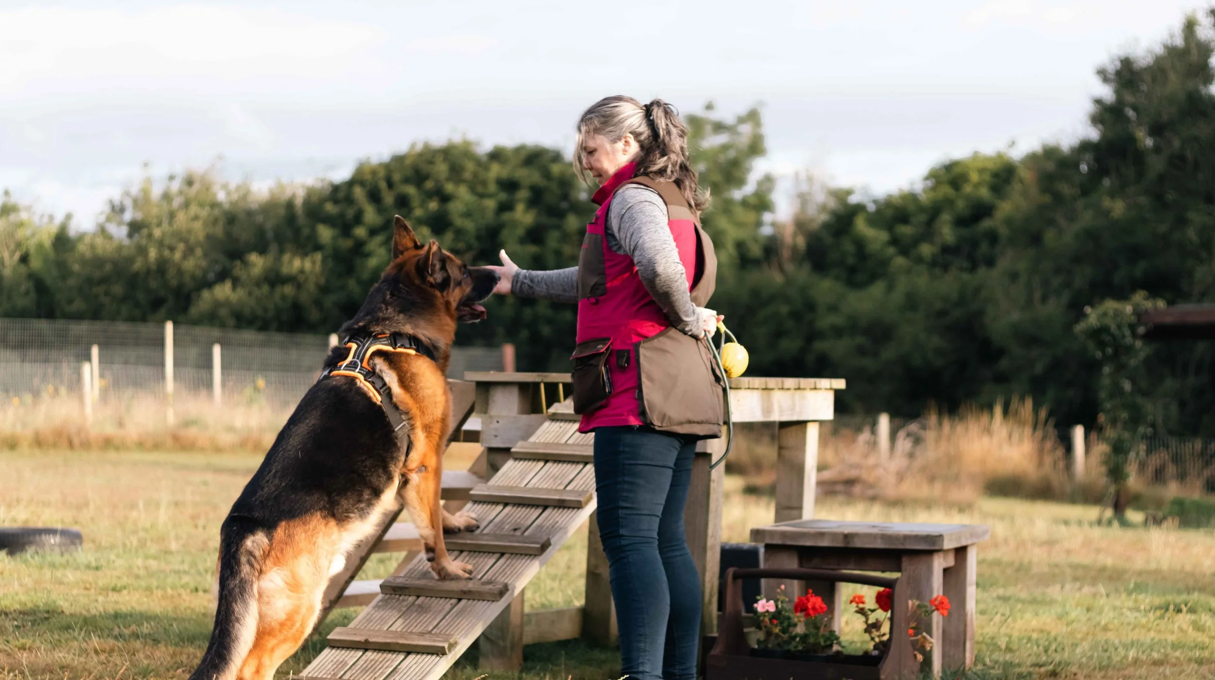 canine conditioning for mobility
