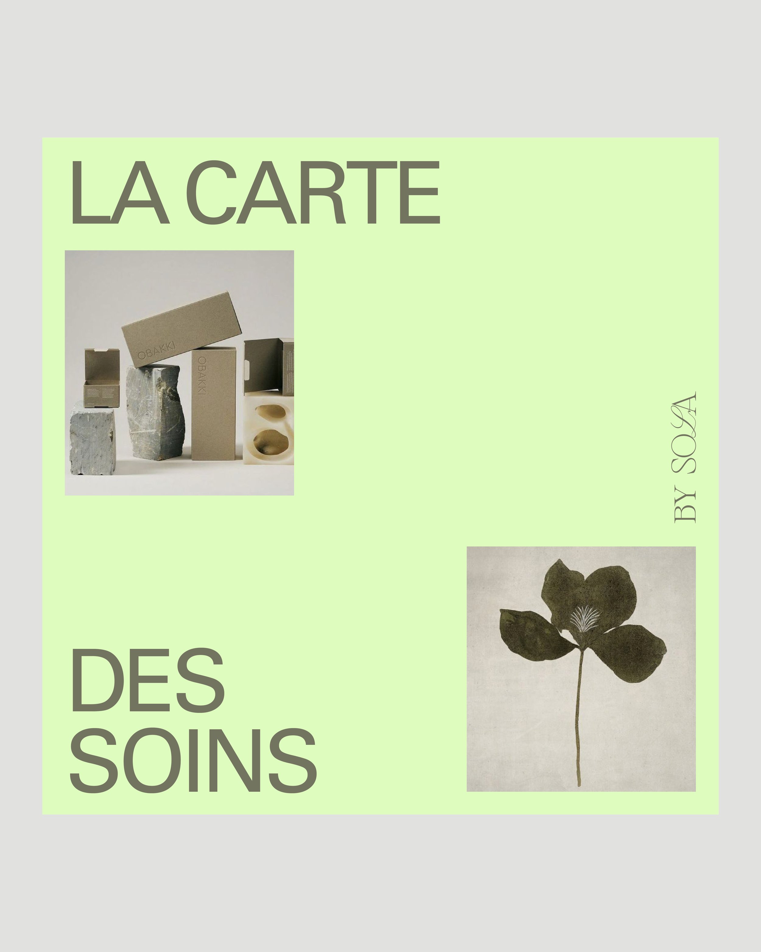 Template Instagram, "LA CARTE DES SOINS", images de boîtes en carton et une illustration de plante, fond vert pâle.