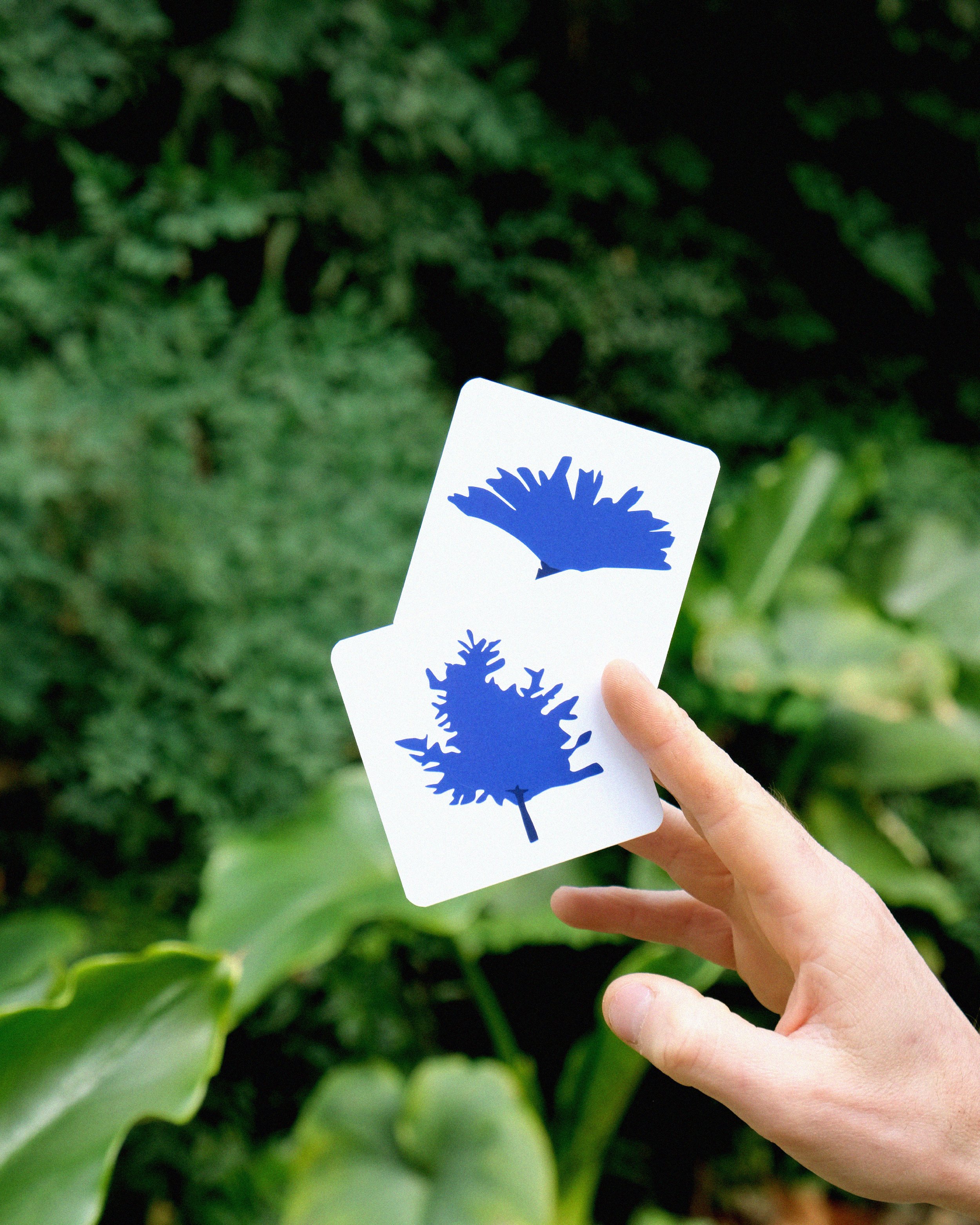 Le Jardin_Post IG11.jpg