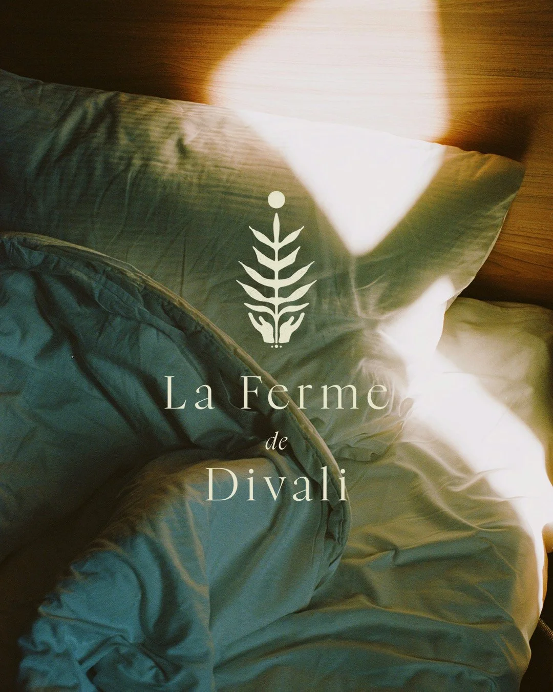 Ferme de Divali_post4.jpg