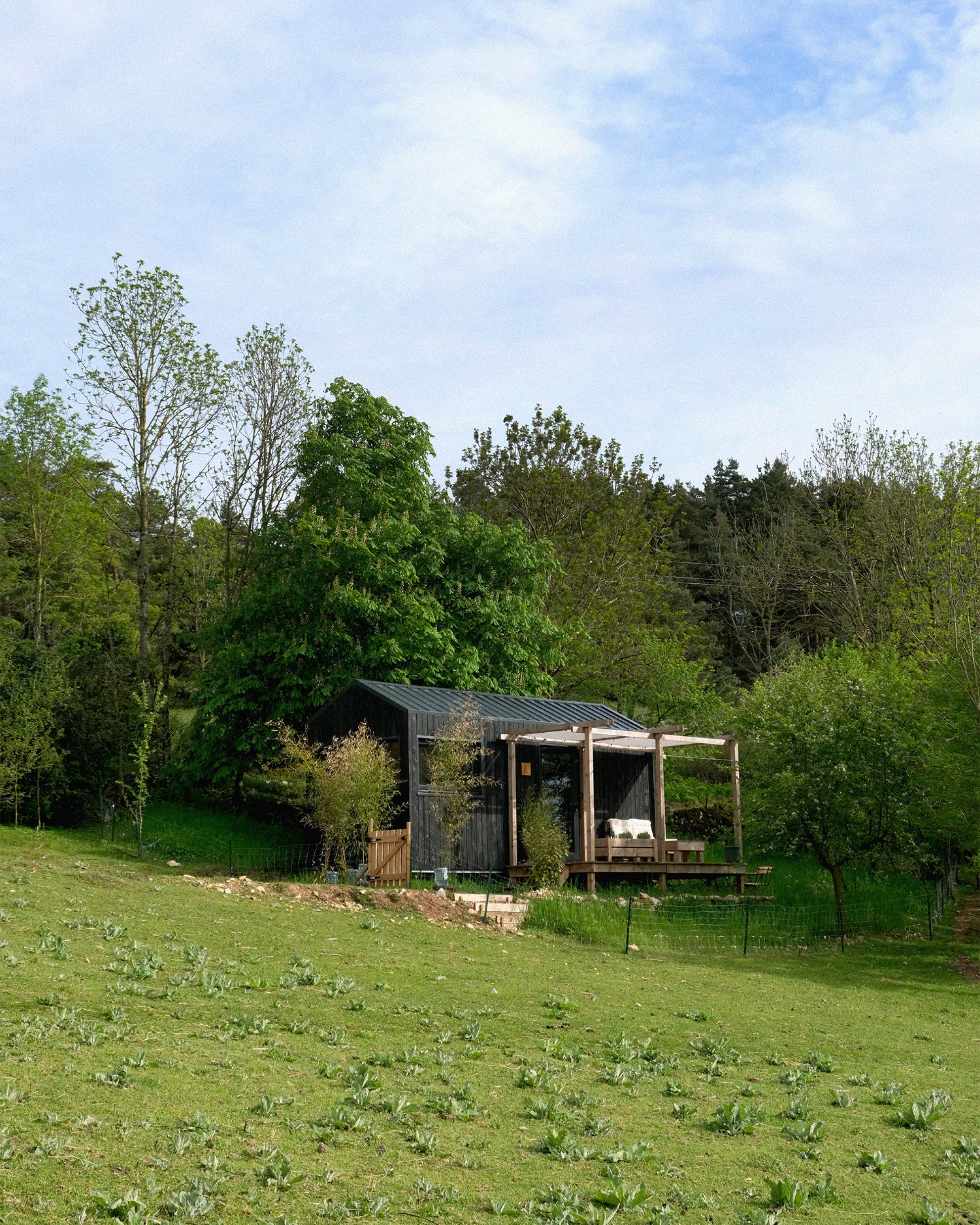 Tiny house en bois entourée de verdure, située dans un environnement champêtre avec des arbres et un ciel légèrement nuageux.