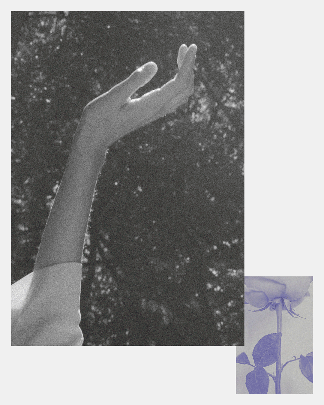 Gif-1.gif