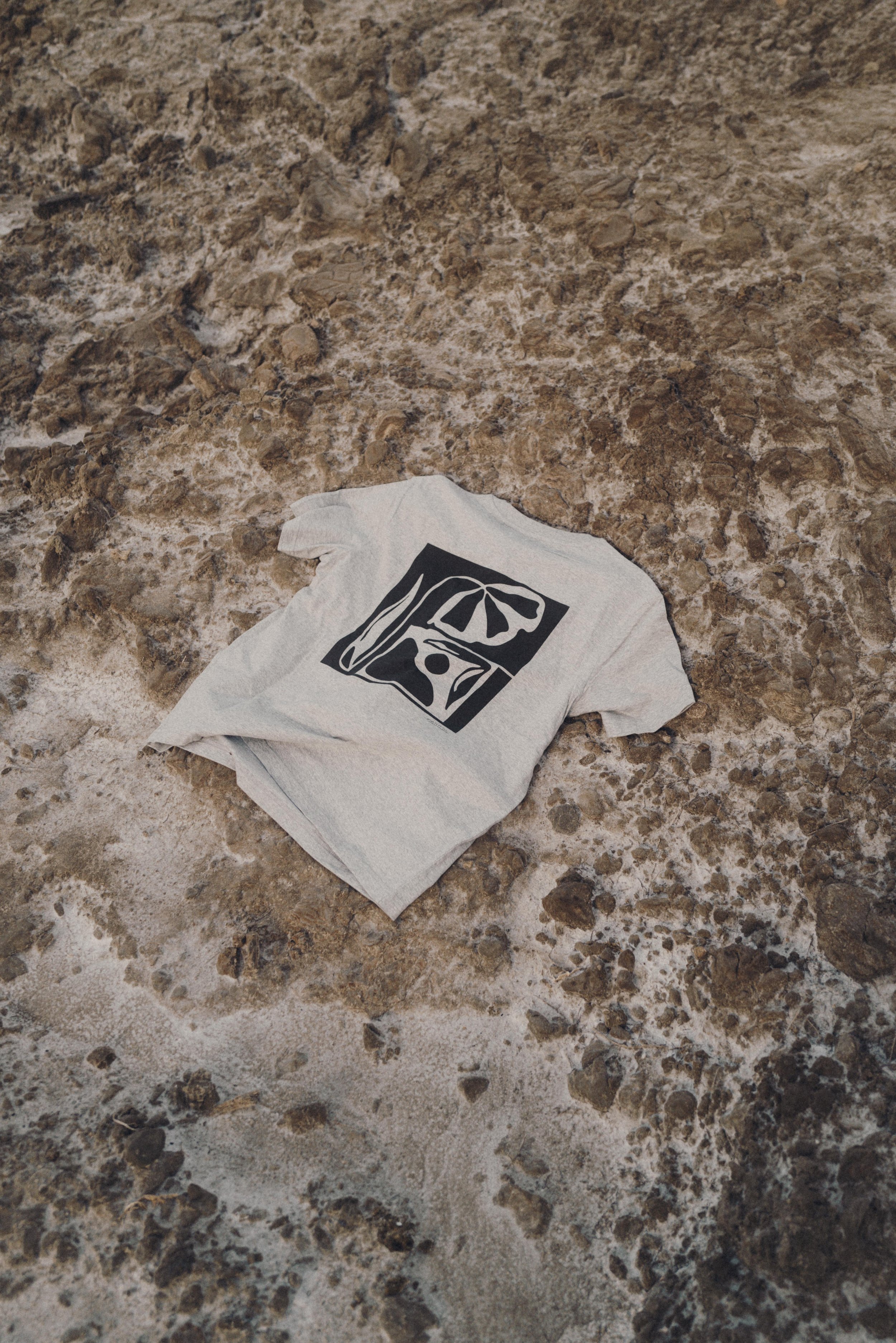 LA NUIT - Tshirt - Série Dernières Fleurs avant la Nuit (2023) © Justine Robineau