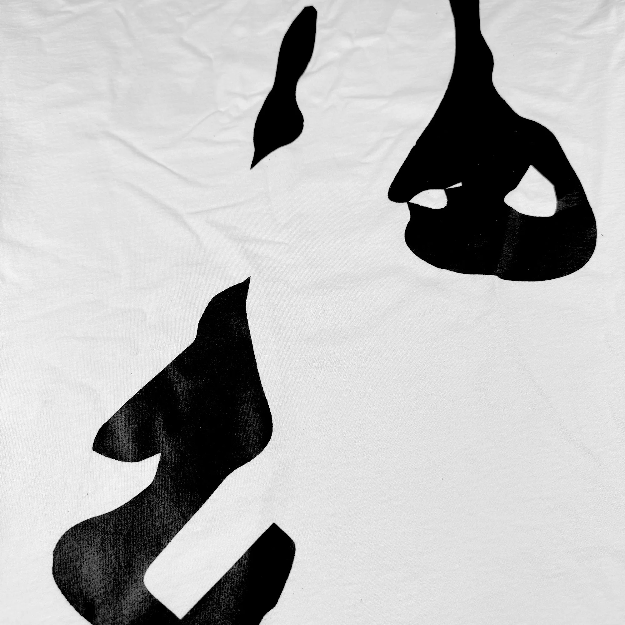 2603_2_C.jpg