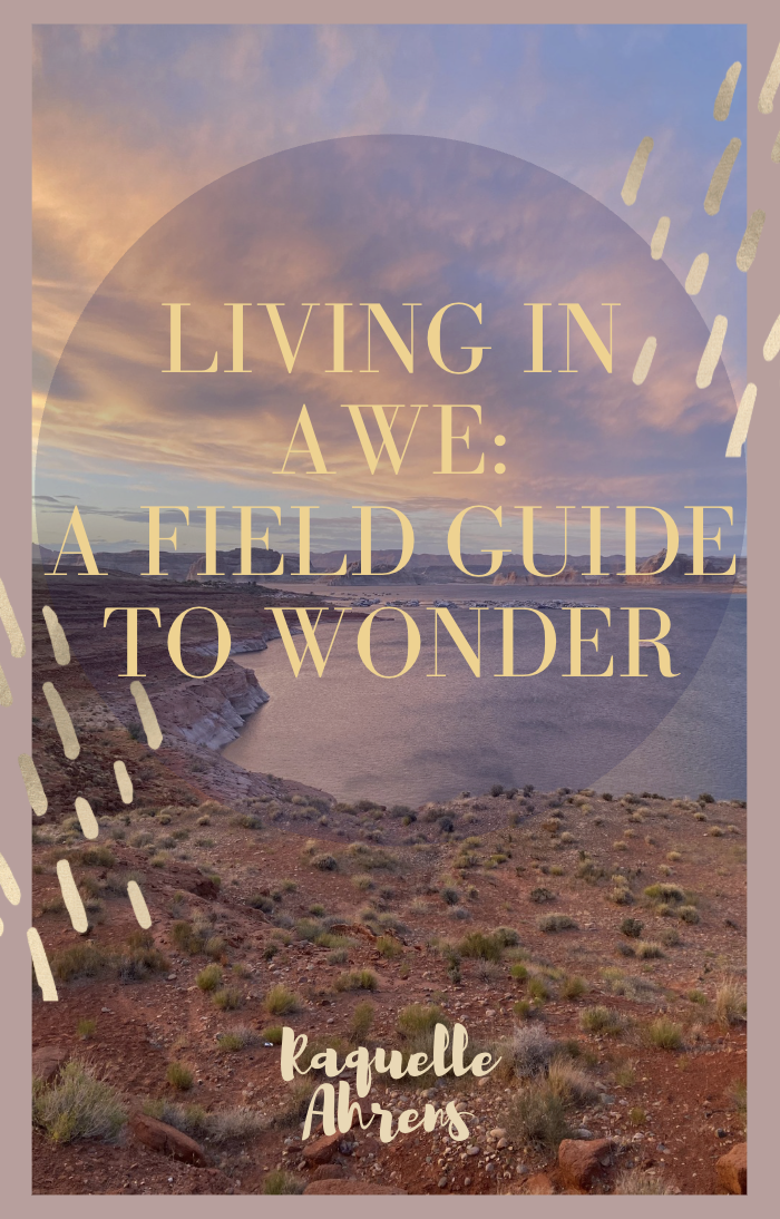 Living In Awe: A Field Guide To Wonder - Sunset Lake Edition