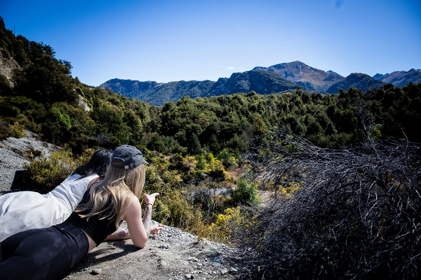 NZ 2026-380_websize.jpg