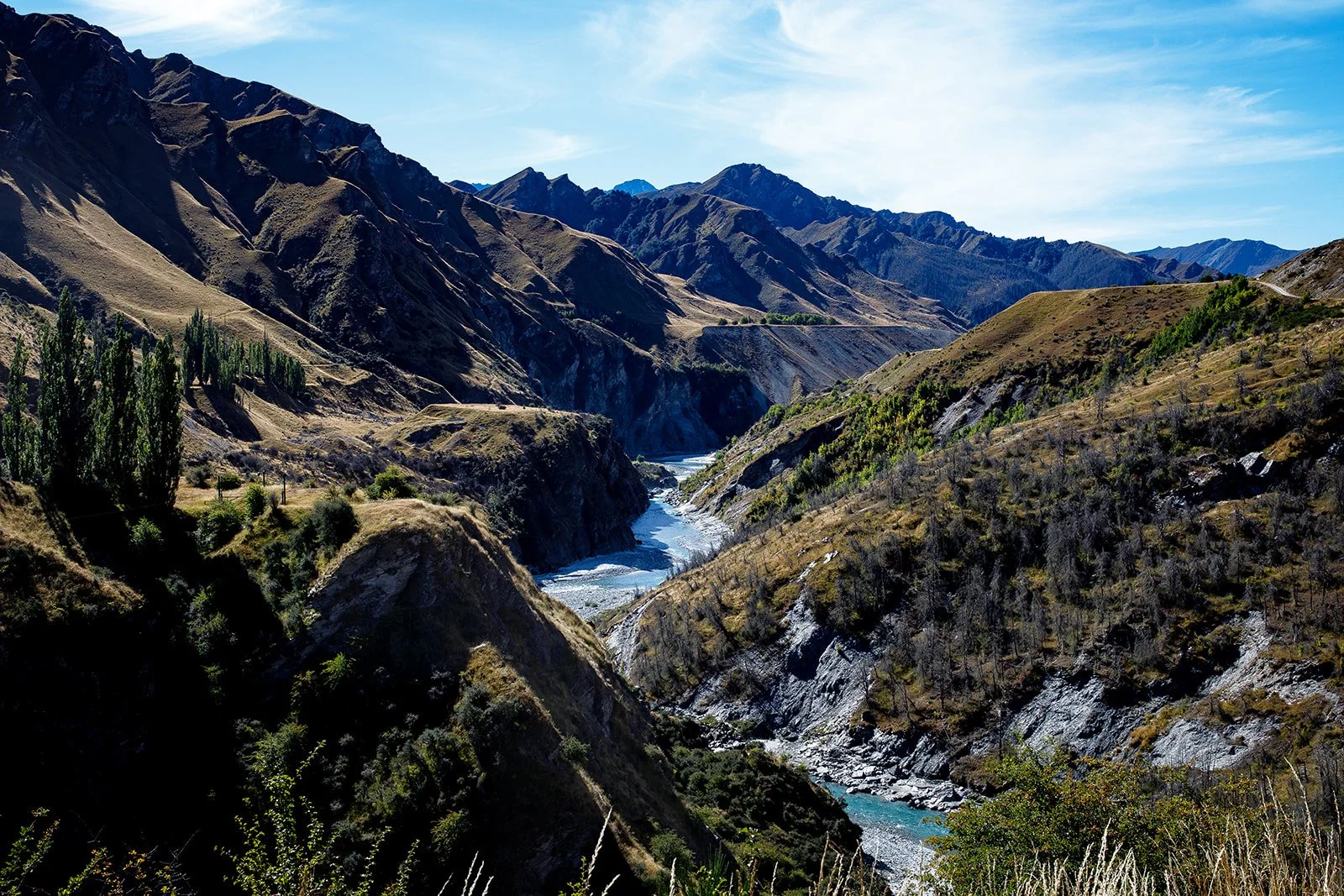 NZ 2026-254_websize.jpg