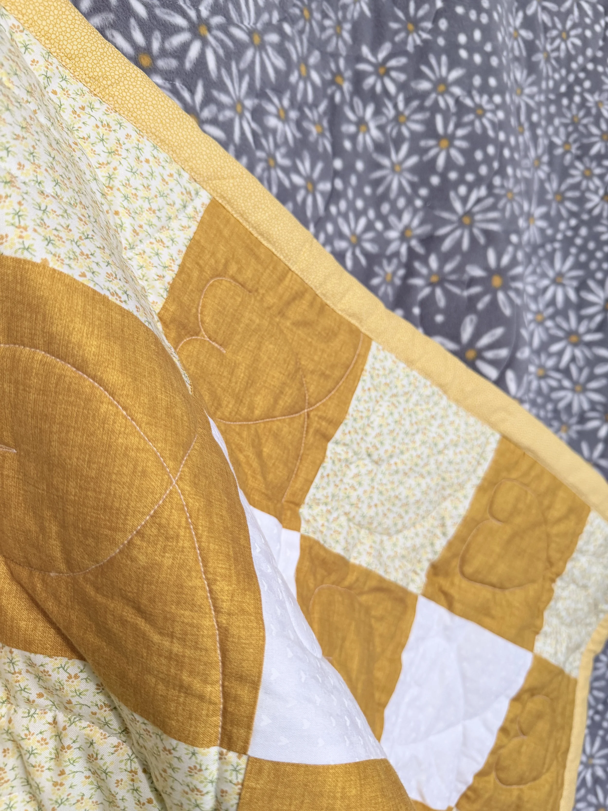 Goldie Loves Yellow- both_.JPG