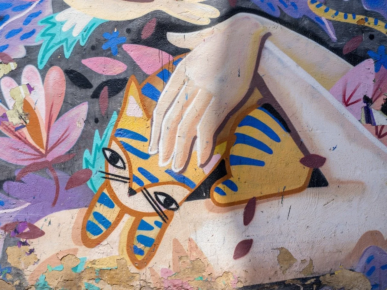  Otra gatita en Valencia, ¡hay tantas!   Another kitty in Valencia, there are so many!  