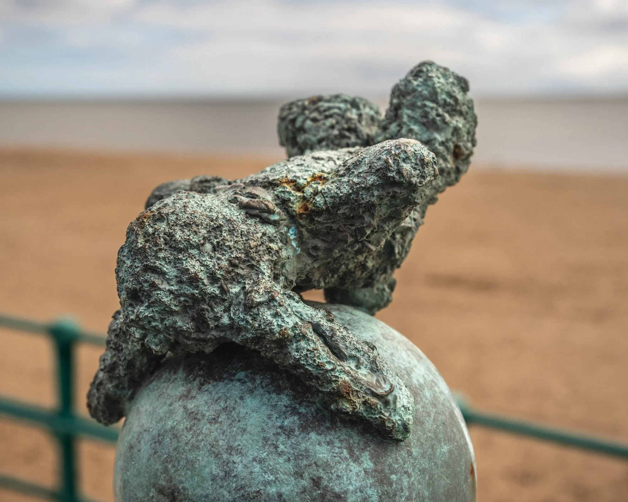 Peluche (Stuffed Animal)