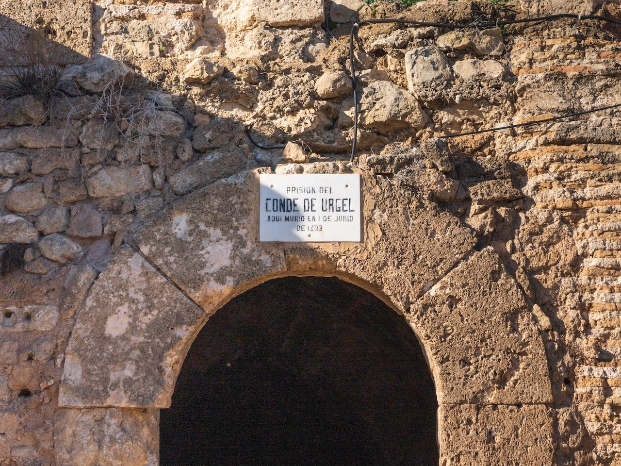 DSC01369.jpeg