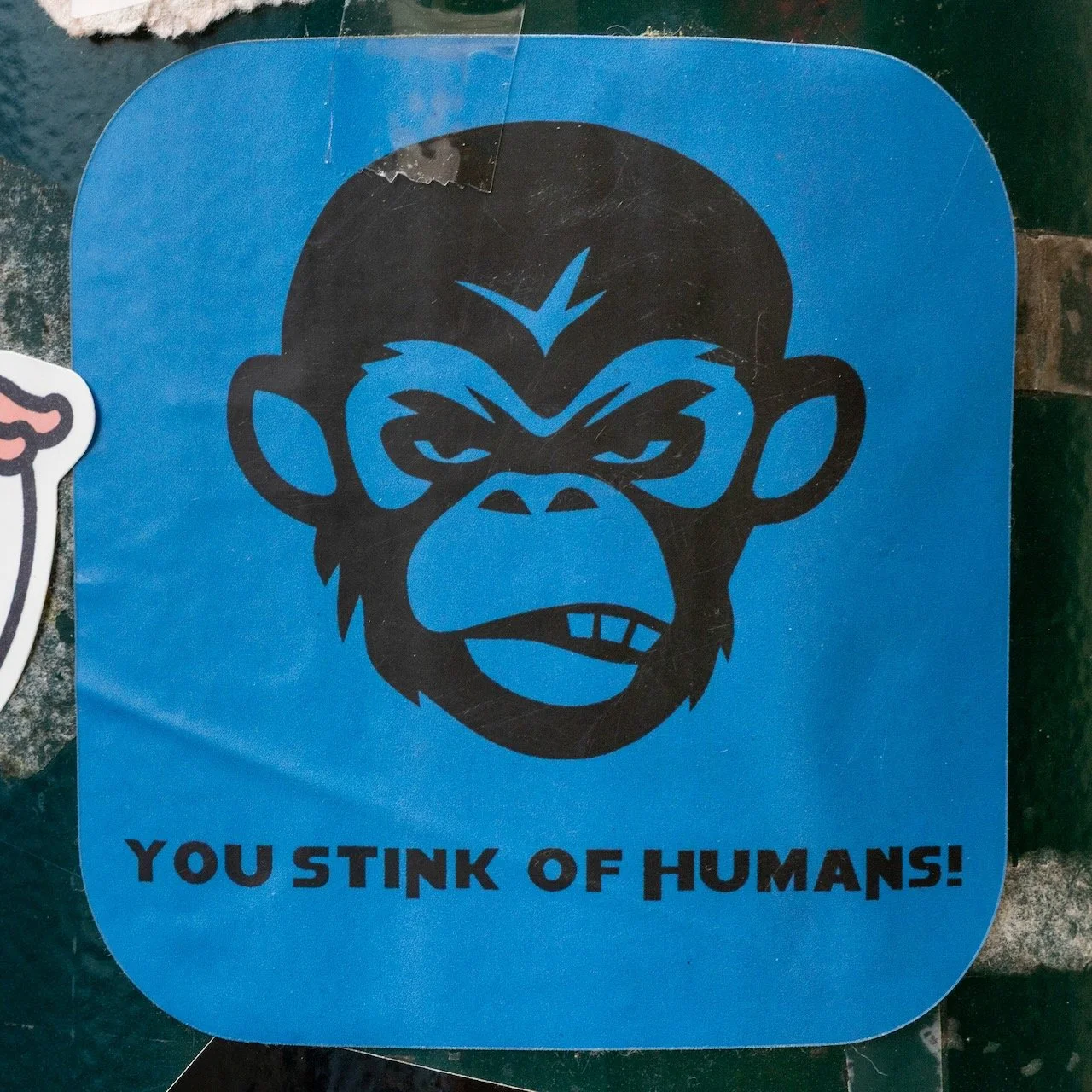  La revolución de monos es cerca   The monkey revolution is near  