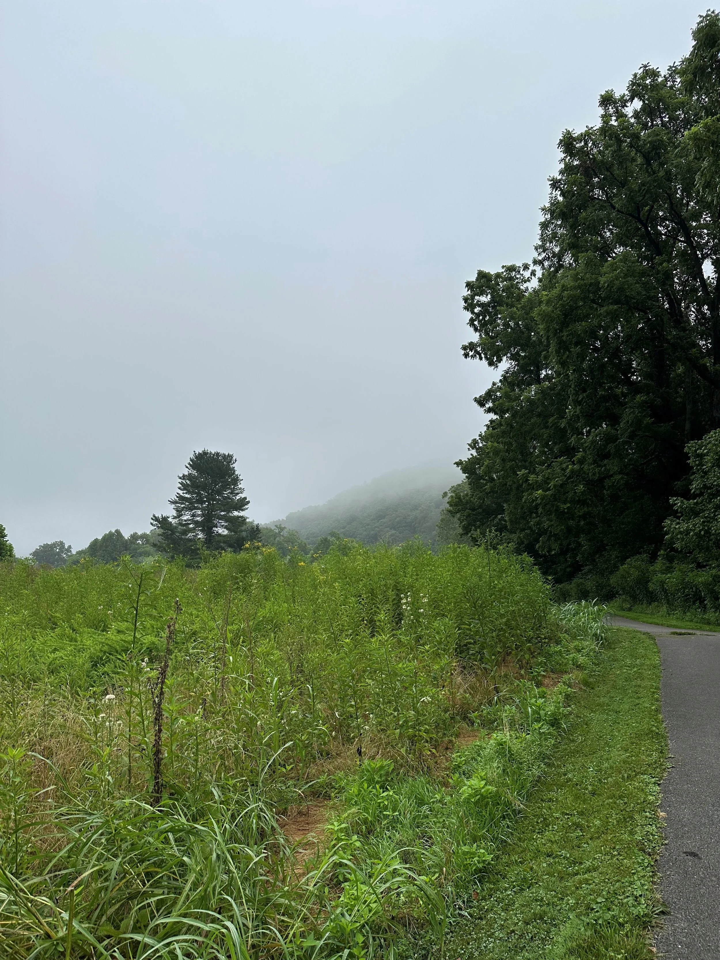 Training for 100 Miles While Life Trains You Back
