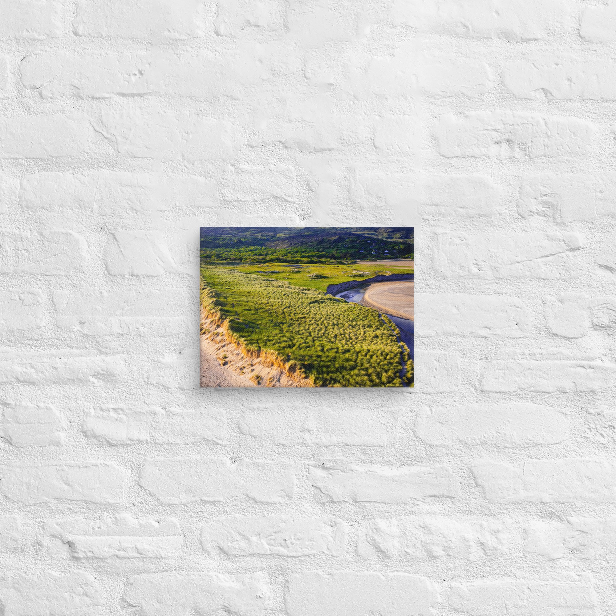 canvas-(in)-9x12-front-687e415fa5ce7.jpg