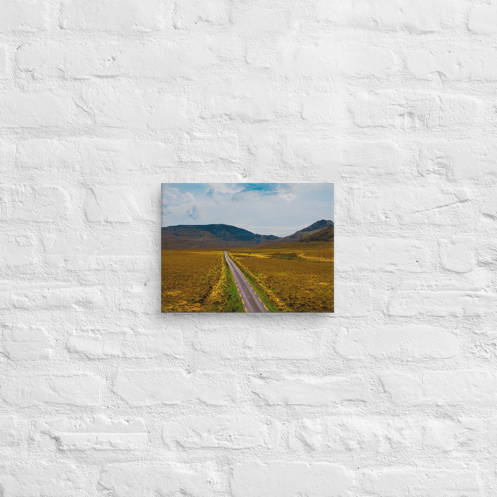canvas-(in)-9x12-front-6887a5ee991a9.jpg