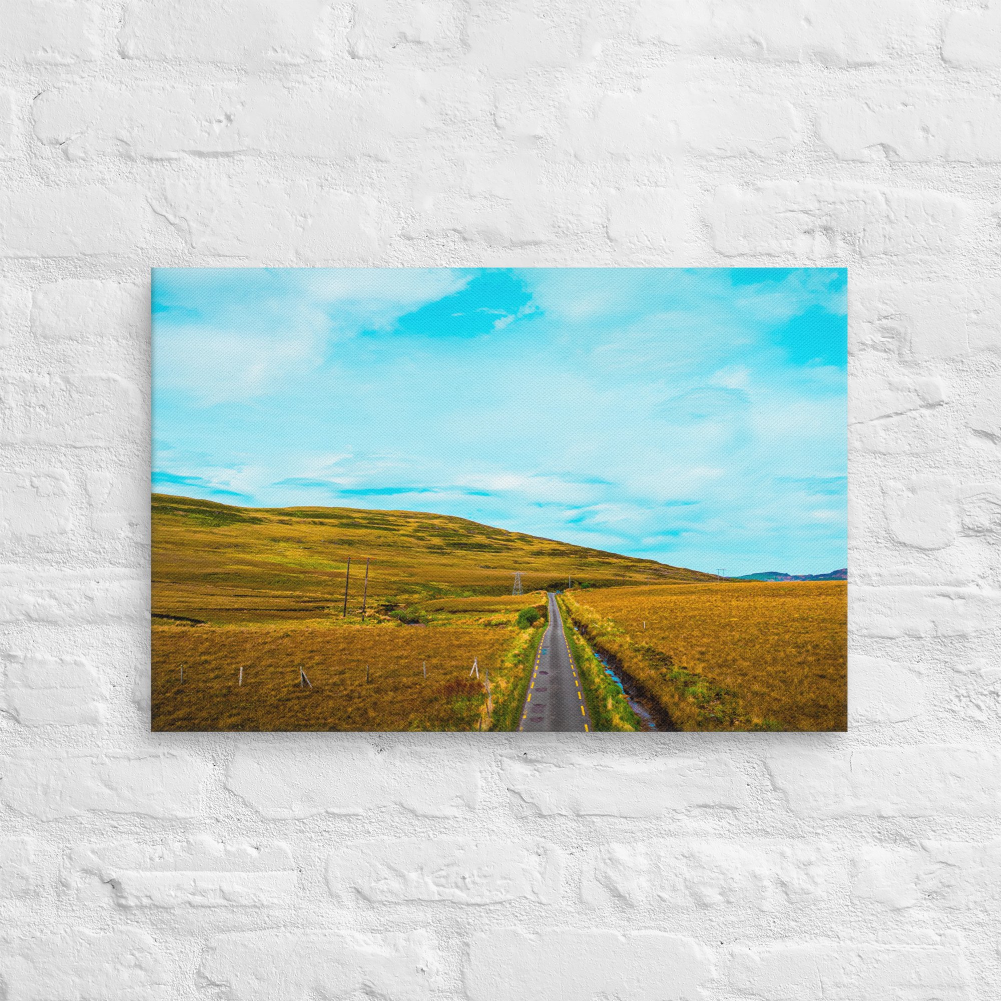 canvas-(in)-16x24-front-6887b3c1da90c.jpg