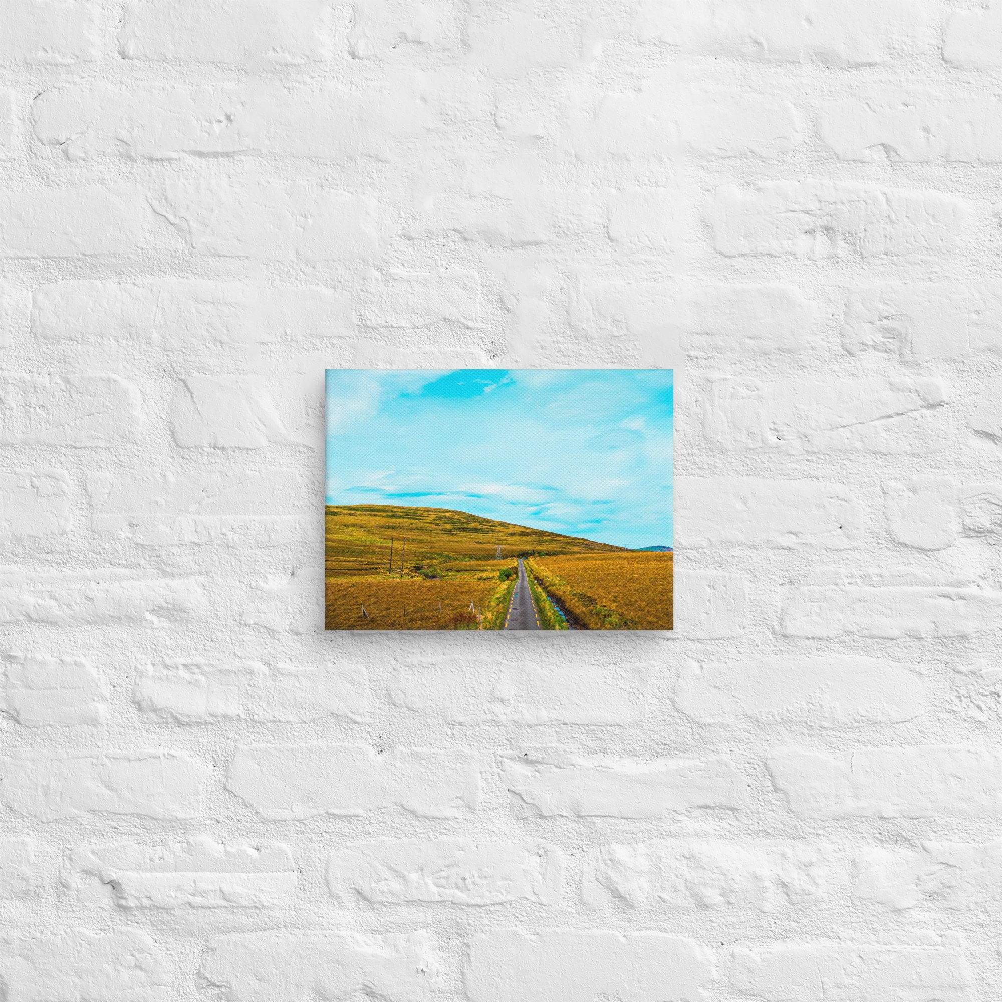 canvas-(in)-9x12-front-6887b3c1db36e.jpg