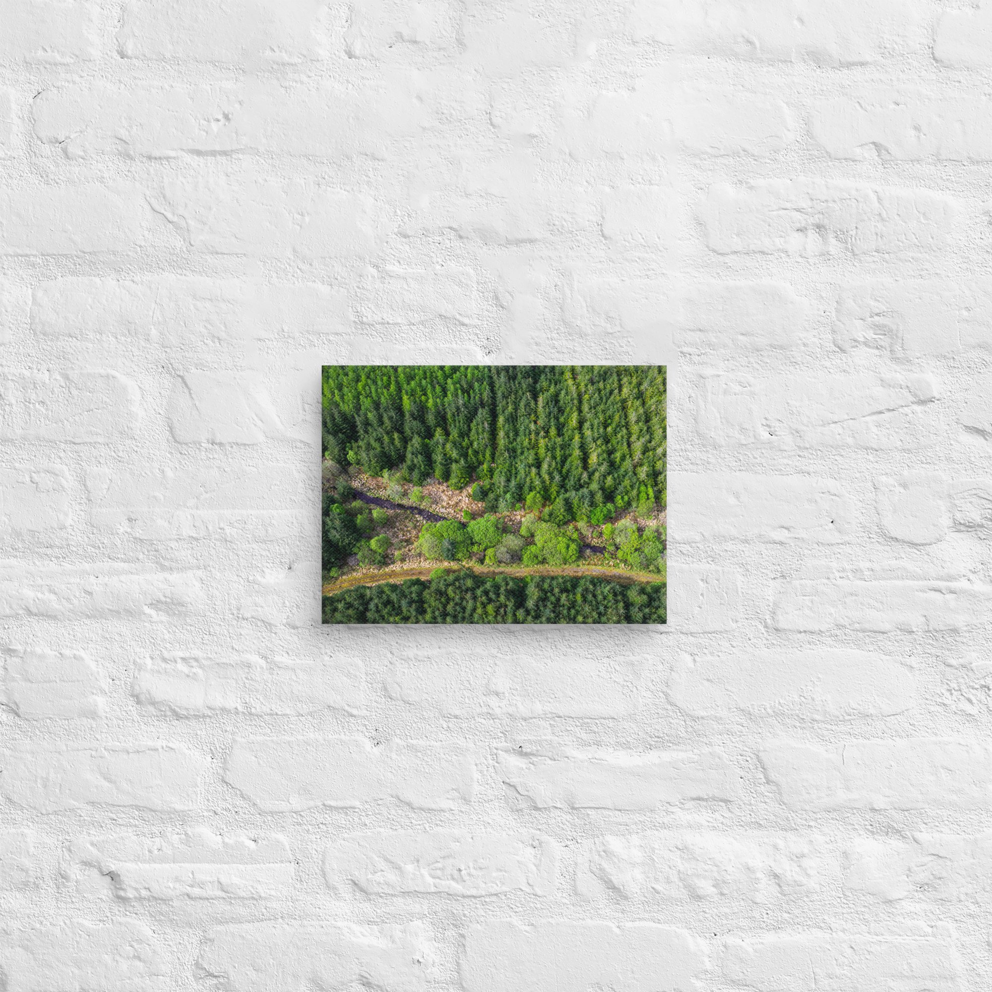 canvas-(in)-9x12-front-6887b72c8f5e0.jpg