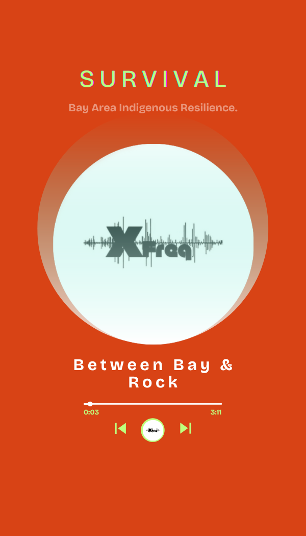 bw-bay-rock-cover-xfreq.png