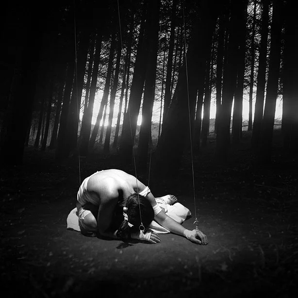 marionette foret wb.jpg