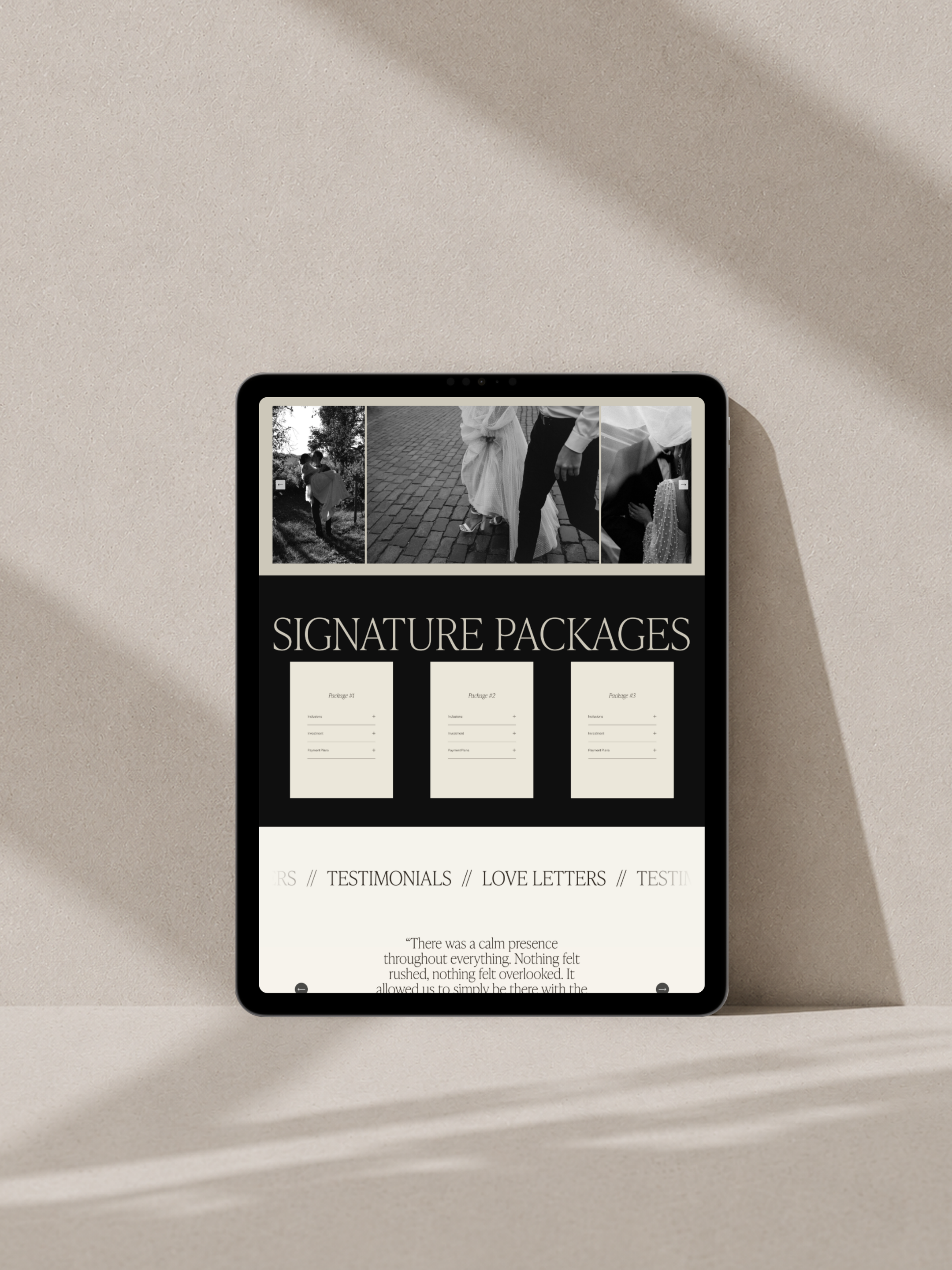 ipad website design.png