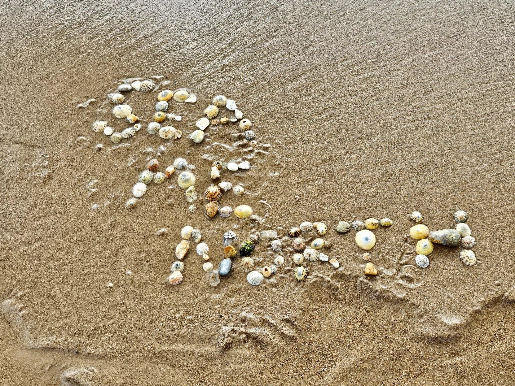 Sea Me North: Beach Day
