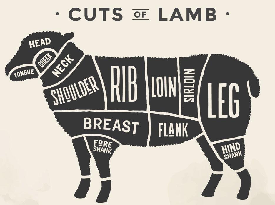 lamb cut diagram.jpg