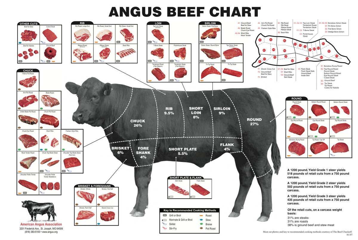 Beef Cuts.jpg