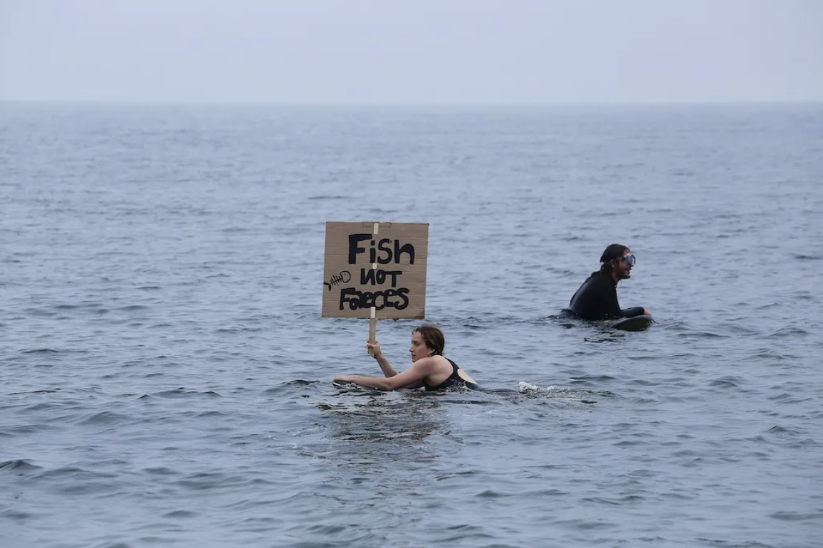 Marian Delyth, Surfers against Sewage protest, Aberystwyth, 2024
