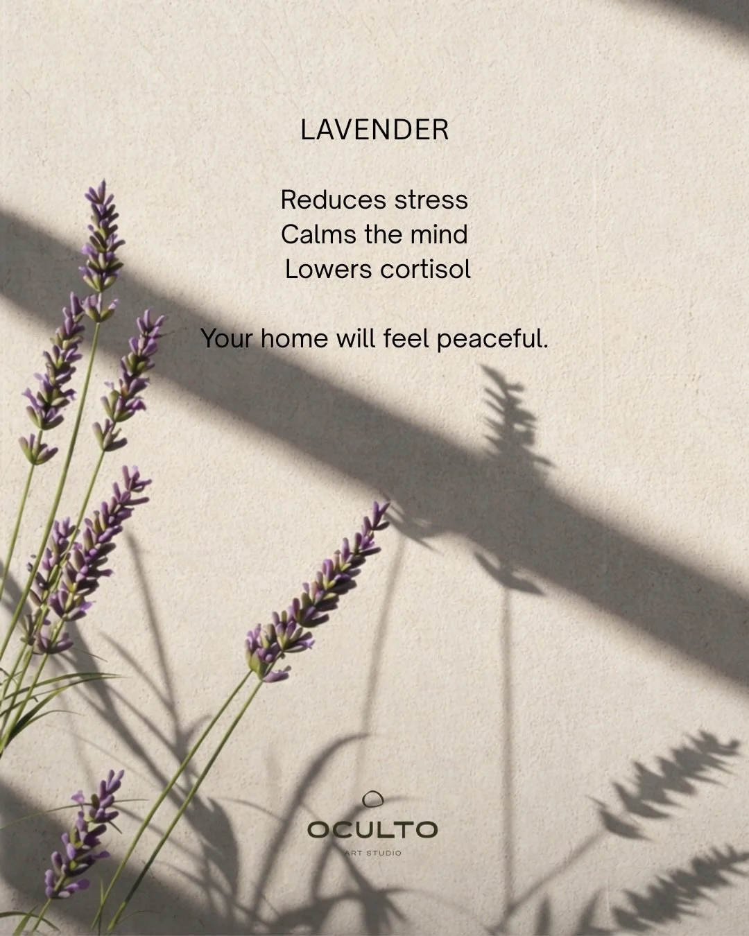 Elements that define the soul of an Oculto candle. 
#lavender #rosemary #bergamot #pause #ocultoartstudio
