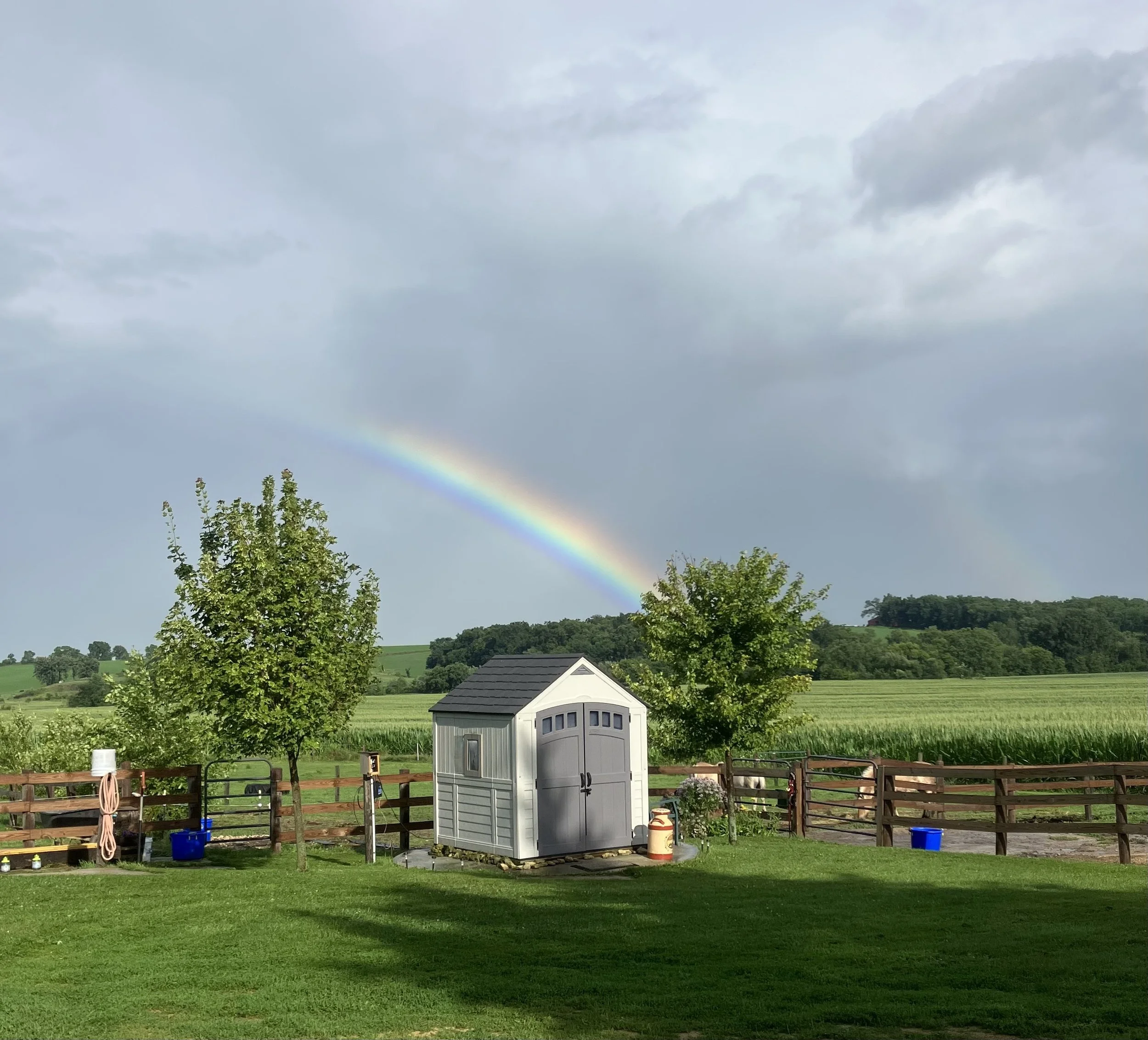 A rural landscape with a rainbow in the cloudy sky, two trees, a small shed, and a fenced yard with various supplies on a bright, green lawn.