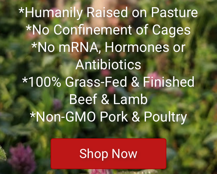Text overlay on a blurred background of greenery and flowers that details the qualities of pasture-raised beef and lamb, mentioning no confinement, no antibiotics, non-GMO pork and poultry, and grass-fed finished products, along with a red "Shop Now" button.