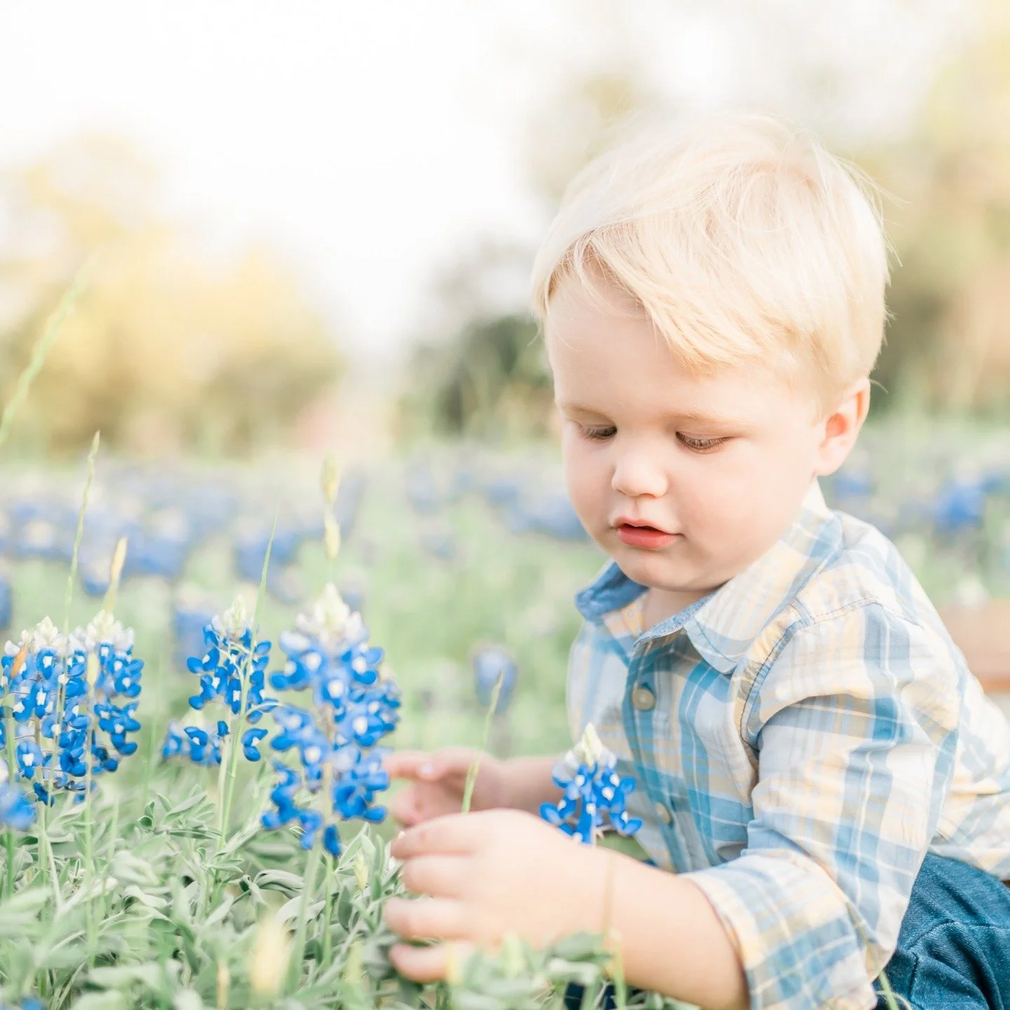 THREE spots left!🪻ONE NIGHT ONLY🪻- Friday, 3/20/26
 Pop up micro mini bluebonnet sessions!
Five minutes, minimum of five images - snag your spot! (link in bio)
