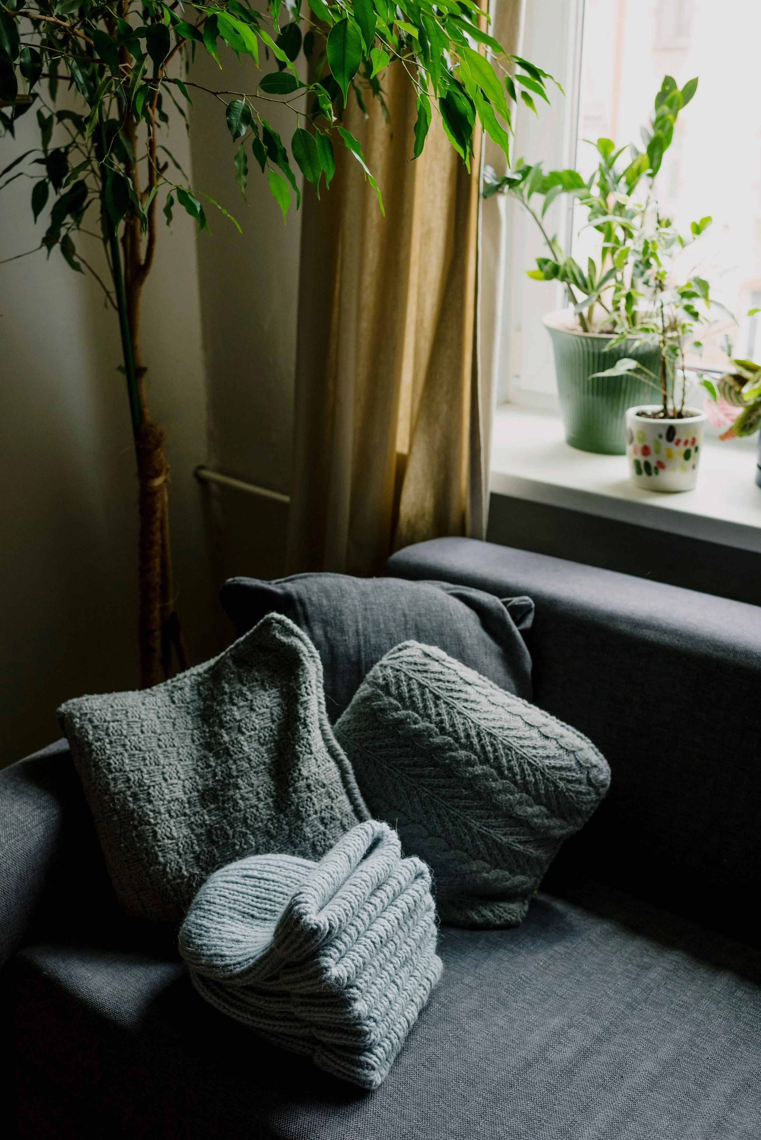 Gray sofa with knitted gray blankets and pillows, positioned near a window with cream curtains. Potted plants on the windowsill and sunlight filtering through the window create a cozy indoor scene.