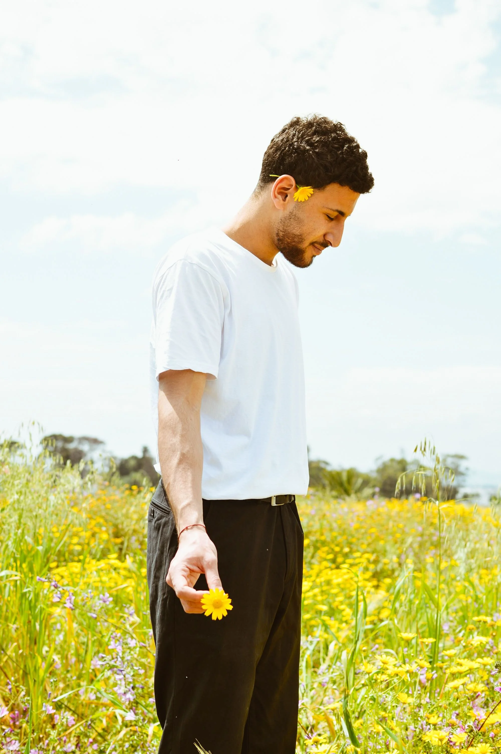 LGBTQ+ adults seeking therapy in San Francisco Bay Area Oakland