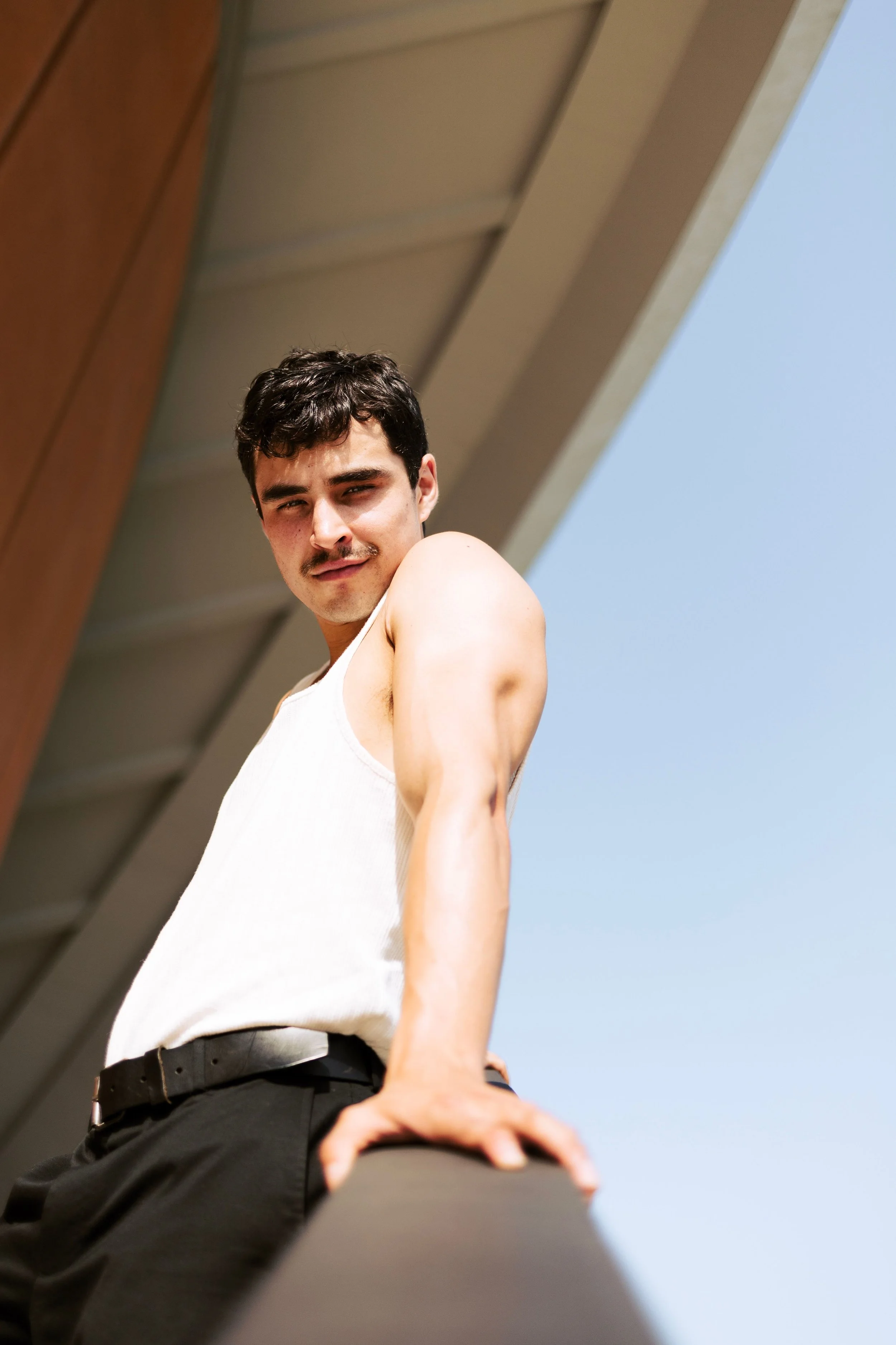 Queer genderfluid LGBTQ adult seeking therapy with integrative therapist in Oakland San Francisco Bay Area California
