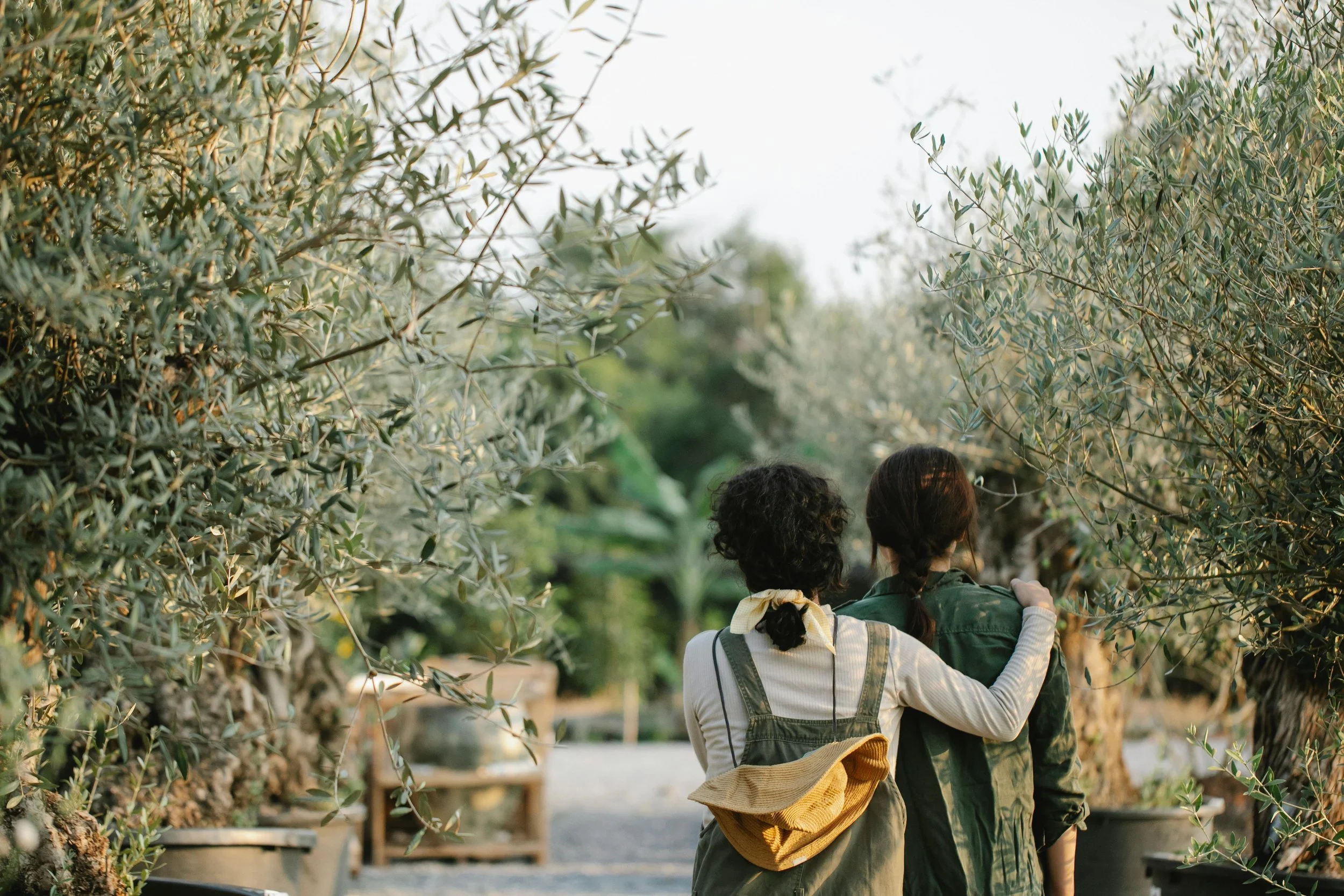 Two people walking together through an olive grove during daytime, with one person resting her arm on the other.