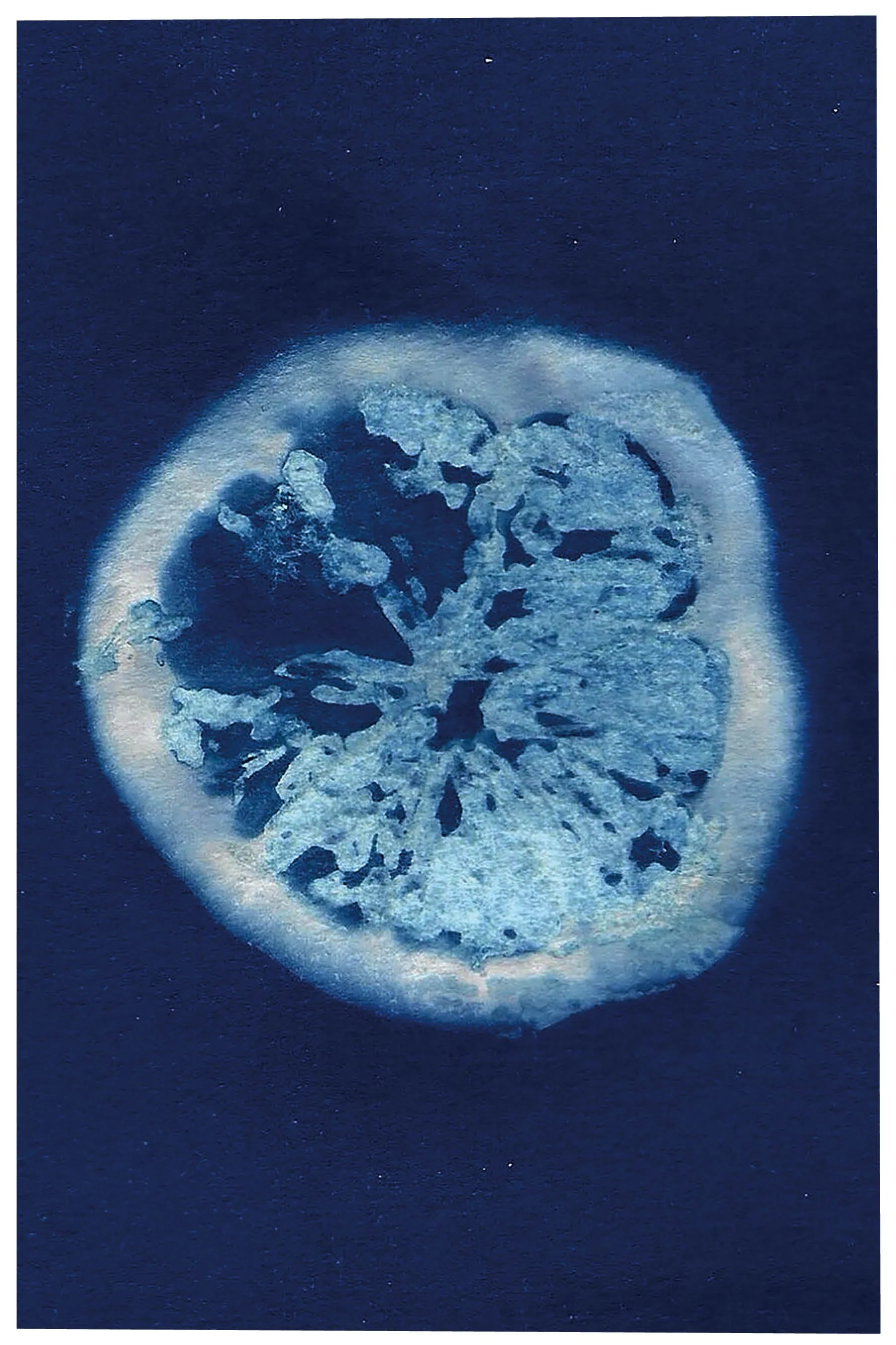 Sunbunt - Ninth House - website spread 2.15.2629.jpg