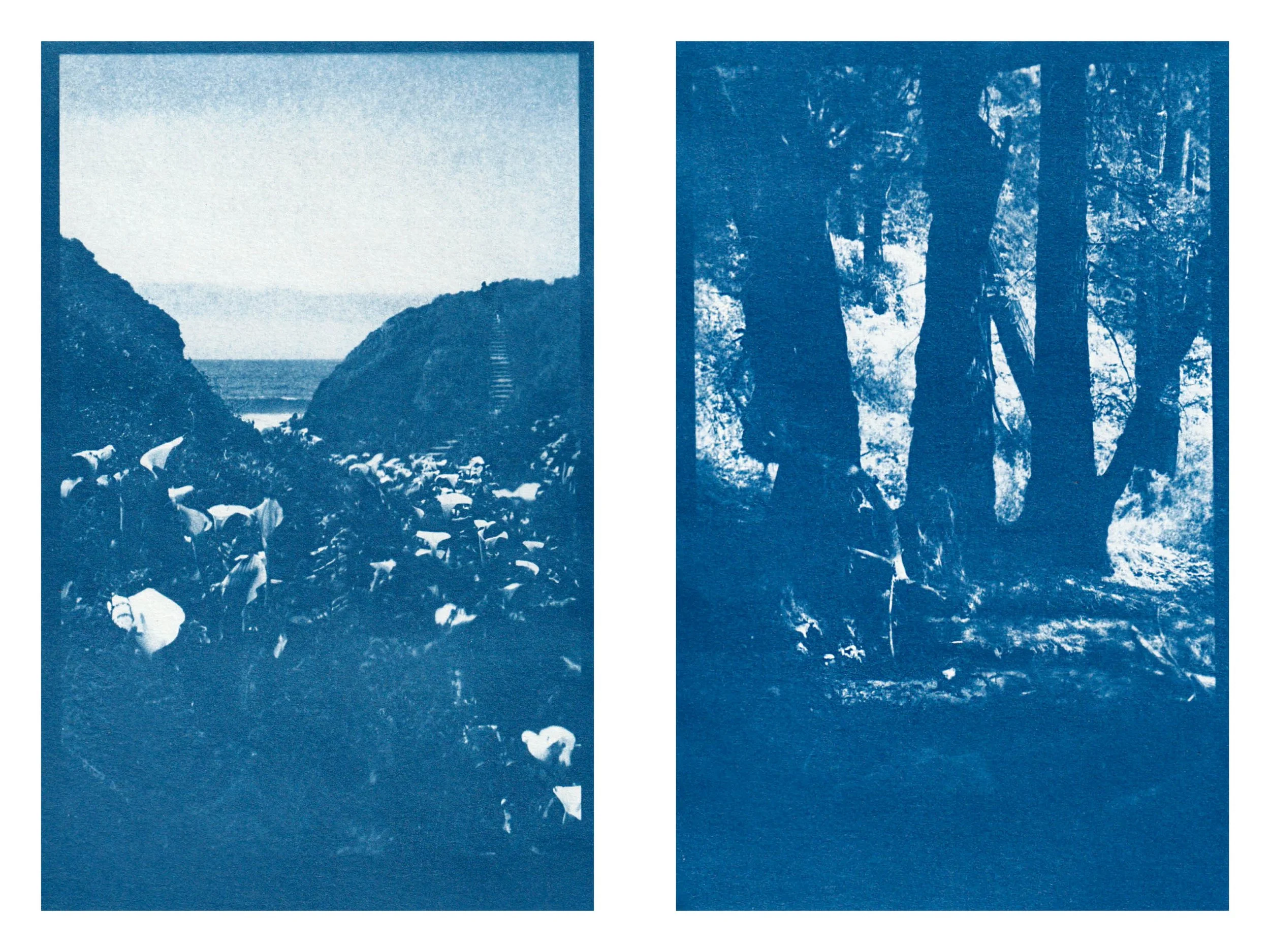 Sunbunt - Ninth House - website spread 2.15.2617.jpg