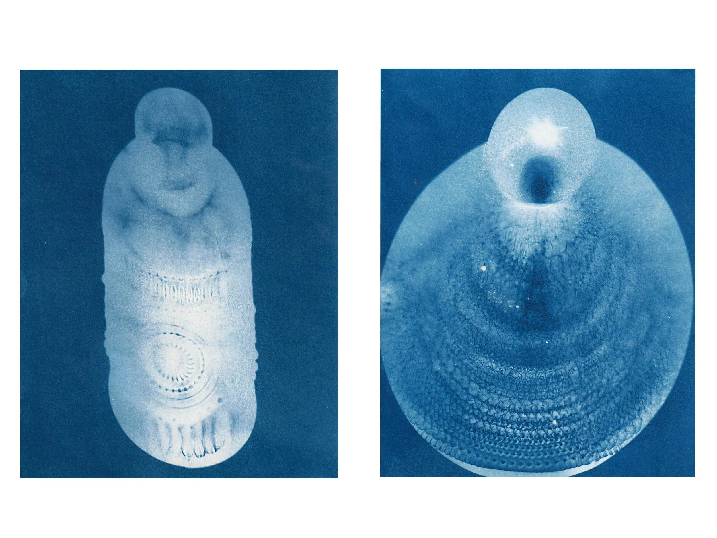 Sunbunt - Ninth House - website spread 2.15.268.jpg